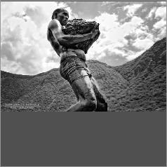 borana2