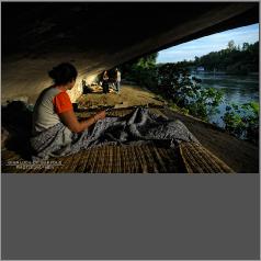 tevere