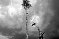 I riti arborei di Accettura