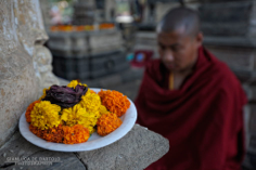 Buddhist Spirituality - India