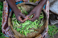 Malawi