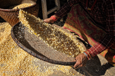 Nepal